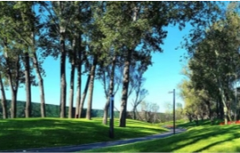 浙江省某代征绿化建设项目可行性研究报告案例